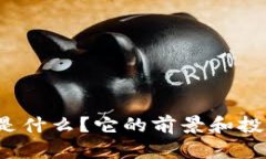 WTX虚拟币是什么？它的前景和投资价值分析！