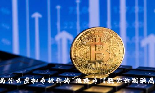 为什么虚拟币被称为“跑路币”？教你识别骗局！
