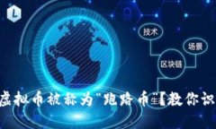为什么虚拟币被称为“跑路币”？教你识别骗局