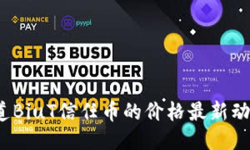 你知道BiuT信任币的价格最新动态吗？