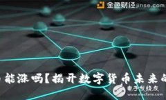虚拟币能涨吗？揭开数字货币未来的秘密！