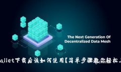 TPWallet下载后该如何使用？简单步骤教你轻松上手