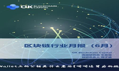TPWallet上的公链是什么意思？听听这背后的故事！