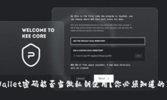 TPWallet密码能否当做私钥使用？你必须知道的真相