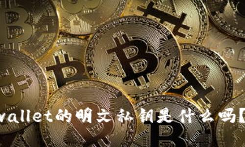 你知道tpwallet的明文私钥是什么吗？来看看吧！
