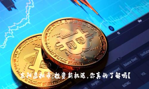 东阳虚拟币：投资新机遇，你真的了解吗？
