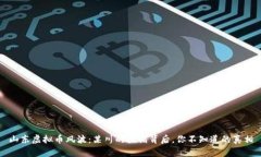 山东虚拟币风波：某川的抓捕背后，你不知道的