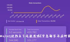 TPWallet被钓鱼了还能用吗？紧急解答与应对策略