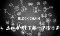 你听说过 Flash 虚拟币吗？了解一下这个新兴数字