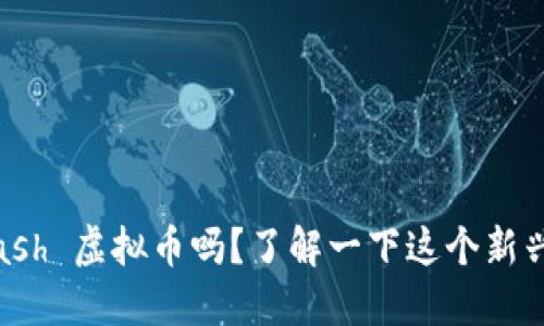 你听说过 Flash 虚拟币吗？了解一下这个新兴数字货币吧！