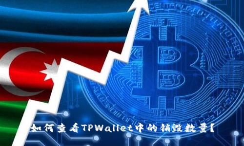 如何查看TPWallet中的销毁数量？