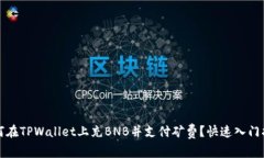 如何在TPWallet上充BNB并支付矿费？快速入门指南