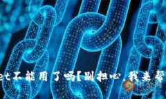 TPWallet不能用了吗？别担心，我来帮你解决！