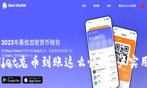 为什么tpwallet充币到账这么慢？用户实用技巧大揭秘！
