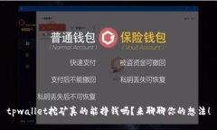 tpwallet挖矿真的能挣钱吗？来聊聊你的想法！