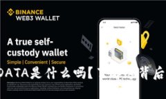 你知道虚拟币DATA是什么吗？了解这背后的价值和