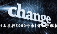 如何在TPWallet上质押5000个币？详细步骤和注意事