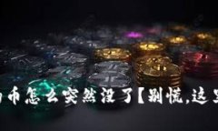 TPWallet里的币怎么突然没了？别慌，这里有解决办