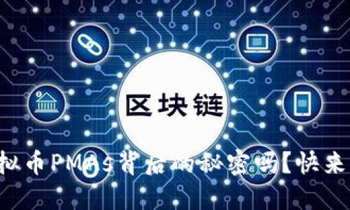 你知道虚拟币PMAs背后的秘密吗？快来一起探索！