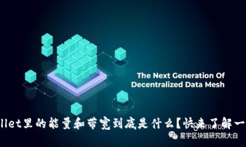 tpwallet里的能量和带宽到底是什么？快来了解一下吧！