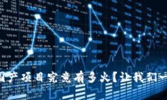 “虚拟币国产项目究竟有多火？让我们一起聊聊