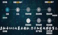 “虚拟币NAS内幕大揭秘：你不知道的那些事儿！