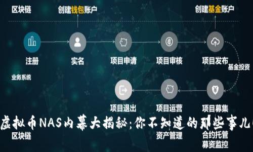 “虚拟币NAS内幕大揭秘：你不知道的那些事儿！”
