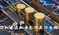 你知道虚拟币支付是什么吗？