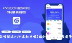“你听说过HUM虚拟币吗？揭秘它的价值与前景！
