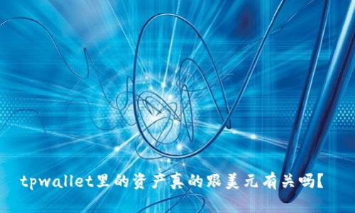 tpwallet里的资产真的跟美元有关吗？ 