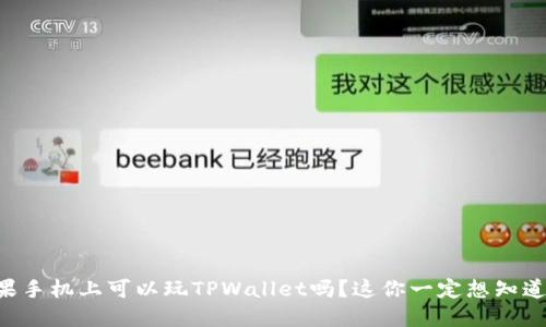 苹果手机上可以玩TPWallet吗？这你一定想知道的！