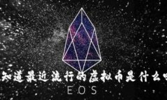 你知道最近流行的虚拟币是什么吗？