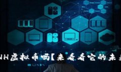 你知道CNH虚拟币吗？来看看它的未来潜力吧！