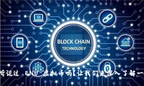 你听说过 ENU 虚拟币吗？让我们来深入了解一下！